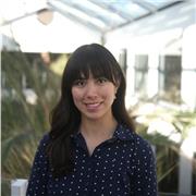 Native Spanish tutor with extensive experience offers private lessons for adults online. Tailored lessons for all levels.